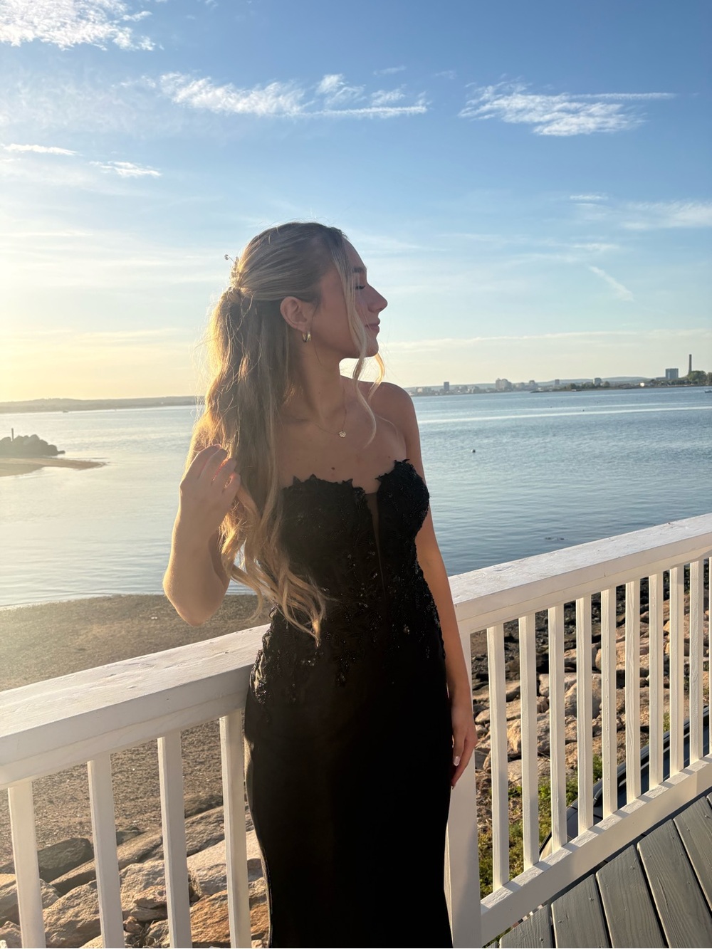 Windsor Black Strapless Lace-Appliqué Evening Gown